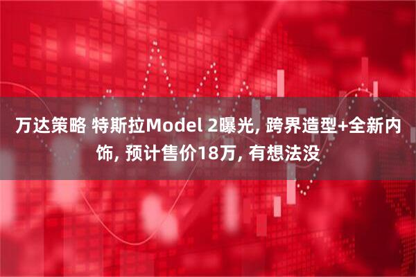 万达策略 特斯拉Model 2曝光, 跨界造型+全新内饰, 预计售价18万, 有想法没