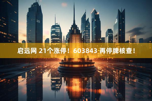 启远网 21个涨停！603843 再停牌核查！