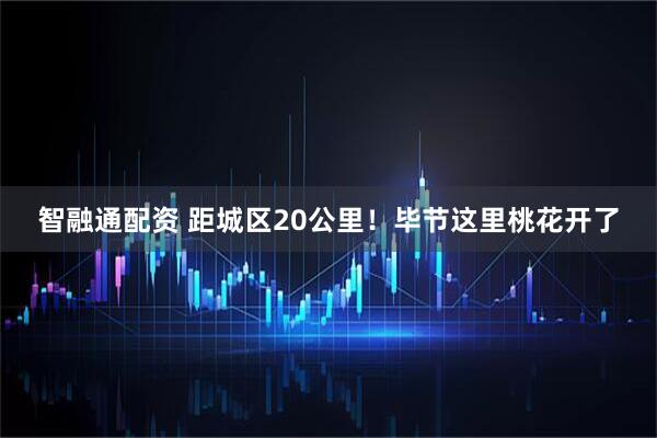 智融通配资 距城区20公里！毕节这里桃花开了